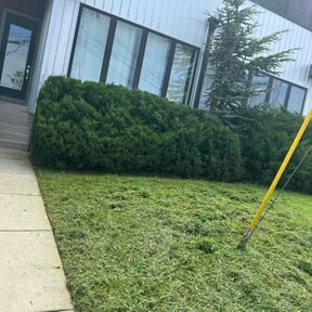 Bush Trimming by R&amp;R Total Property Care reviewed on August 6, 2026