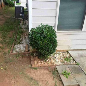 Bush Trimming by ATM reviewed on August 19, 2025
