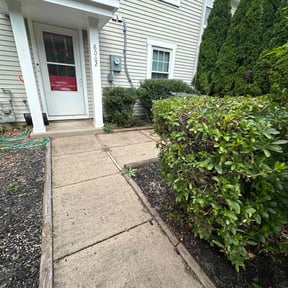 Bush Trimming by Midwest Ecoscapes reviewed on November 24, 2025