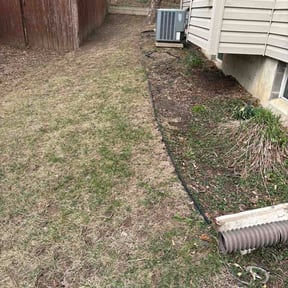 Leaf Removal by Mikes lawn service reviewed on May 15, 2026