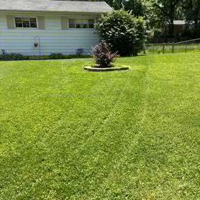 yard care by Top Turf L.L.C reviewed on September 3, 2020