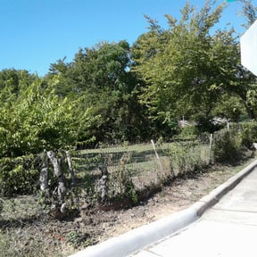 Bush Trimming by Burton's Landscaping reviewed on August 15, 2025