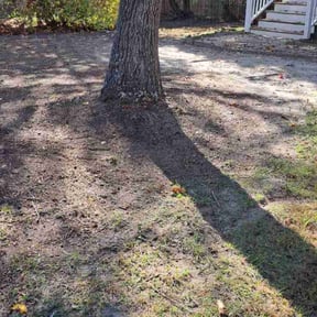 Leaf Removal by Abdu Lawn &amp; Landscape reviewed on September 7, 2025