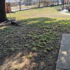 Leaf Removal by Green Acres Landscaping and Construction LLC reviewed on March 28, 2026