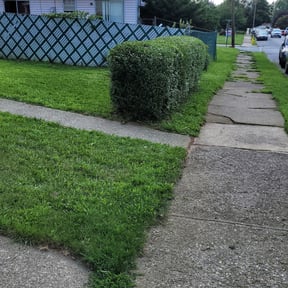 Bush Trimming by Tater's Lawn Care reviewed on August 15, 2025