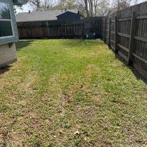 Leaf Removal by Together Family Landscapes LLC reviewed on April 8, 2026