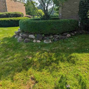 Bush Trimming by Wood&#039;s Landscaping reviewed on August 12, 2025