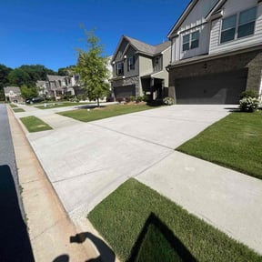 yard care by True Vine Lawn Service reviewed on October 8, 2024