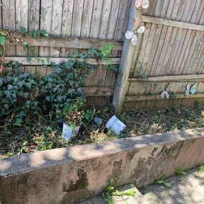 Flower Bed Weeding by KD Living reviewed on October 21, 2025