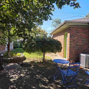 Bush Trimming by Greener Lawn Maintenance  reviewed on November 9, 2025