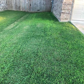 turf care by Diverse Capital Fence and Lawn Services reviewed on August 15, 2024
