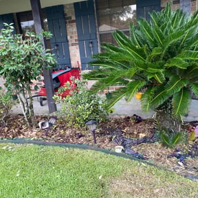 Flower Bed Weeding by Allgreen Landscape Co. reviewed on August 19, 2025