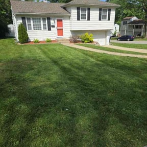 yard work by Field of Green lawn and Landscape reviewed on August 17, 2025