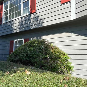 Bush Trimming by Mr. Mow&#039;s it All reviewed on October 24, 2025