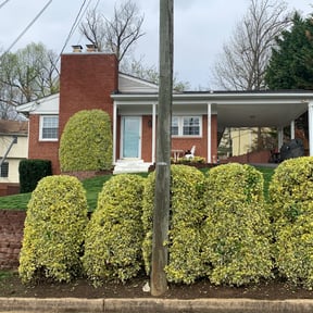 Flower Bed Weeding by Pressed4Time lawn care reviewed on August 20, 2025