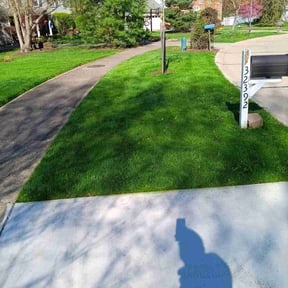 yard maintenance by SRH Lawn and Shrubs reviewed on August 19, 2025