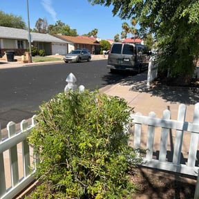 Bush Trimming by Boss Outdoor Service reviewed on August 20, 2025
