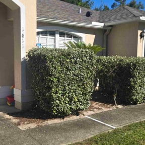 Bush Trimming by Exquisite Lawn &amp; Grounds reviewed on October 19, 2025