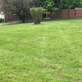 Bush Trimming by H & S Lawn Service. reviewed on August 21, 2025