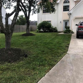 turf maintenance by Colt’s Lawn Service reviewed on May 20, 2024