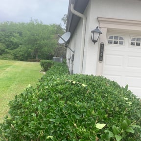 Bush Trimming by Big 3 Lawns and Landscaping reviewed on August 19, 2025