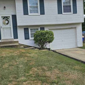 Bush Trimming by B&t lawn service reviewed on August 15, 2025