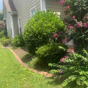 Bush Trimming by Cullz Outdoor LLC reviewed on August 15, 2026