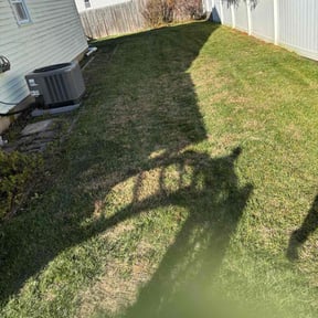 Leaf Removal by Early Risers Lawncare Service. reviewed on November 23, 2025