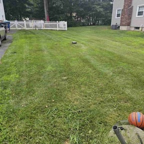 lawn service by Ronald Burton reviewed on May 17, 2024