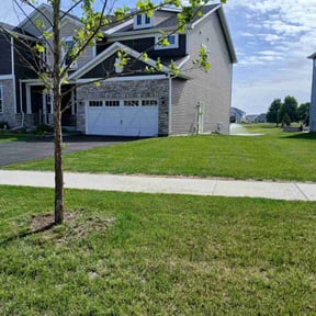 yard service by Cameron&#039;s Home and Power Wash reviewed on May 2, 2023