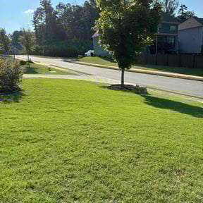 landscaping by Mow N' Trims reviewed on August 21, 2025