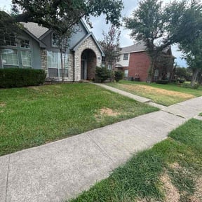 Leaf Removal by Lemaster Landscape reviewed on September 13, 2025