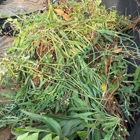 Flower Bed Weeding by AffordableAcres reviewed on July 23, 2026