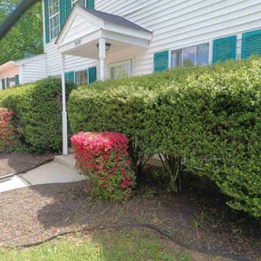 Bush Trimming by MJ Lawn reviewed on August 18, 2025