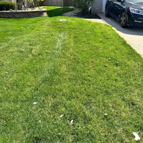 lawn care services by Supreme Home Services reviewed on October 26, 2023