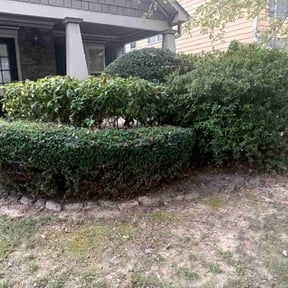 Bush Trimming by A Cut Above Lawn & Landscaping reviewed on August 17, 2025
