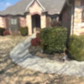 Bush Trimming by Rodriguez Lawn Care LLC reviewed on March 5, 2026