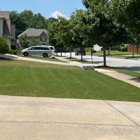 residential landscaping by Sunrise landscpe reviewed on August 19, 2025