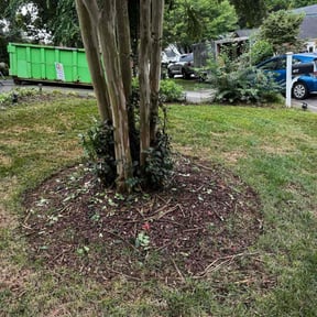 Bush Trimming by Wilson Lawn Care reviewed on October 21, 2025