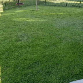 landscape maintenance by Northwest Lawn Care &amp; Snow Removal reviewed on November 24, 2025