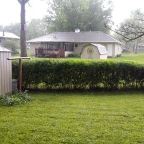 Bush Trimming by YPMI Services  llc reviewed on August 15, 2025