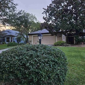 Bush Trimming by Norman Boys Lawn Care reviewed on August 19, 2025
