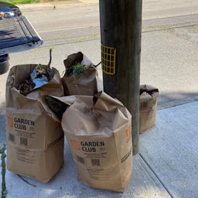 Leaf Removal by Eco IGS Landscaping reviewed on October 2, 2025