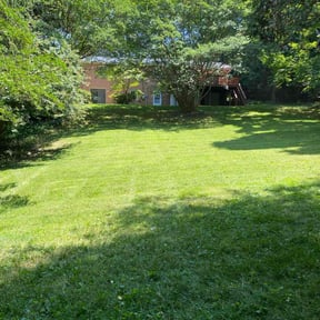 yard service by Lawn Dominators reviewed on December 24, 2025