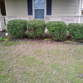 Bush Trimming by ABM ALL AROUND SERVICES reviewed on August 21, 2025