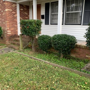 Bush Trimming by Smack Down lawns and tractor services reviewed on August 21, 2025