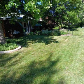 grass maintenance by Bright Rays Lawn Service LLC reviewed on April 8, 2024