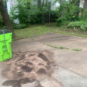 Bush Trimming by Paradise Lawn Service reviewed on May 21, 2025