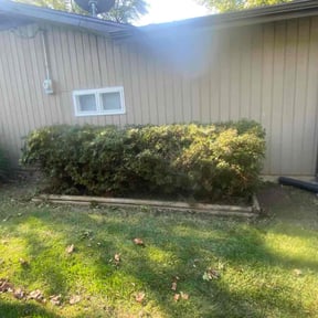 Bush Trimming by Expert Outdoor Services reviewed on November 24, 2025