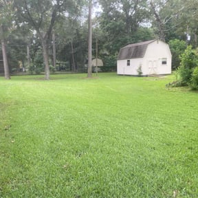 yard care by Yanez Brothers Landscaping reviewed on August 15, 2025